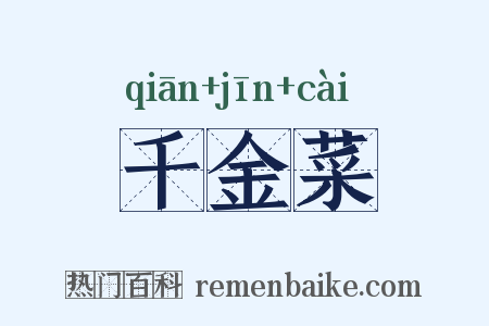 千金菜是什么意思的图片